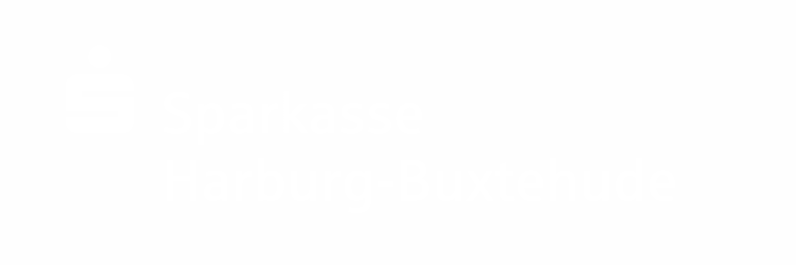 Weißes Sparkassenlogo und der Text 